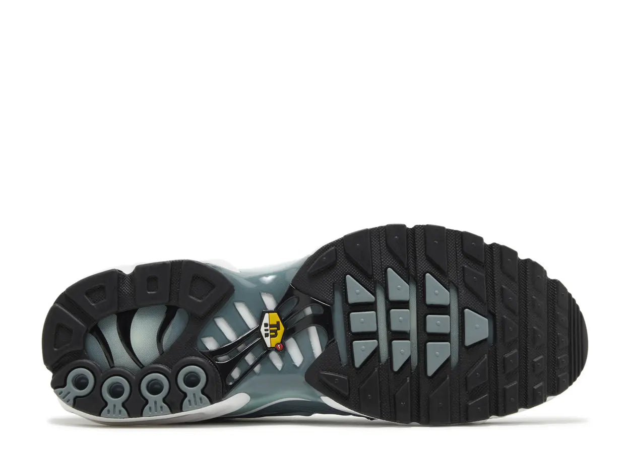 Air Max Plus ‘Waterway Origins'